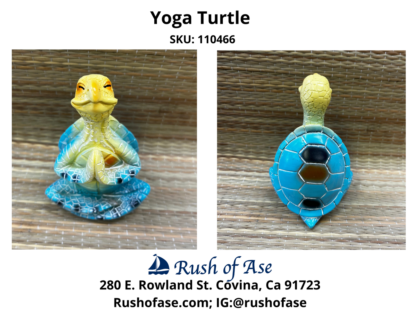 Yoga Turtle
