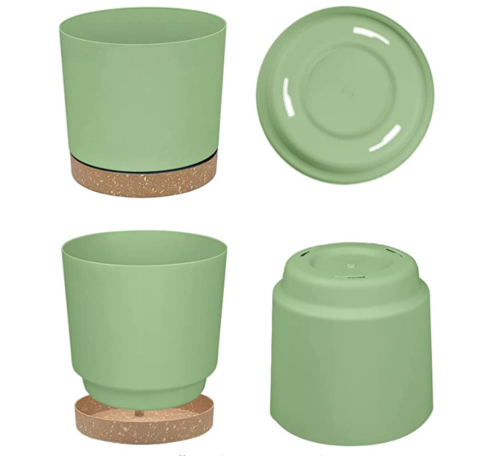 Plant Pots | 6.5" Plant Pots