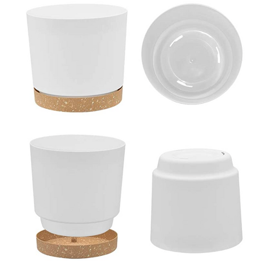 Plant Pots | 6.5" Plant Pots