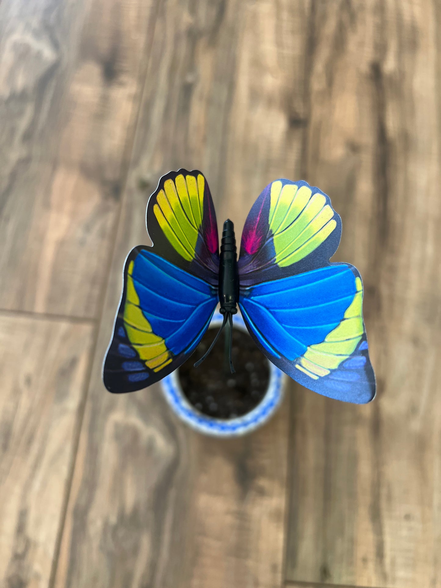 Garden Butterfly Stakes