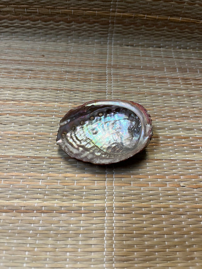 Incense Burner | Abalone Shell