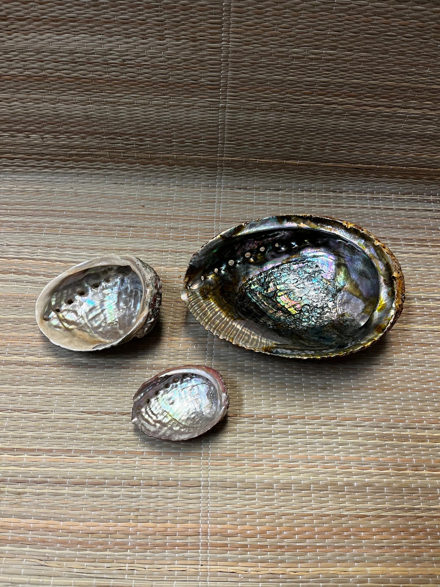 Incense Burner | Abalone Shell