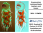 Dreamcatcher Luminous Beads, Feathers, and Stones