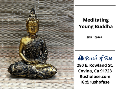Decor | Young Buddha - Meditating, Teaching, and Praying Statues