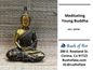 Decor | Young Buddha - Meditating, Teaching, and Praying Statues