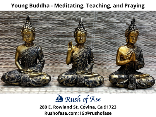 Decor | Young Buddha - Meditating, Teaching, and Praying Statues