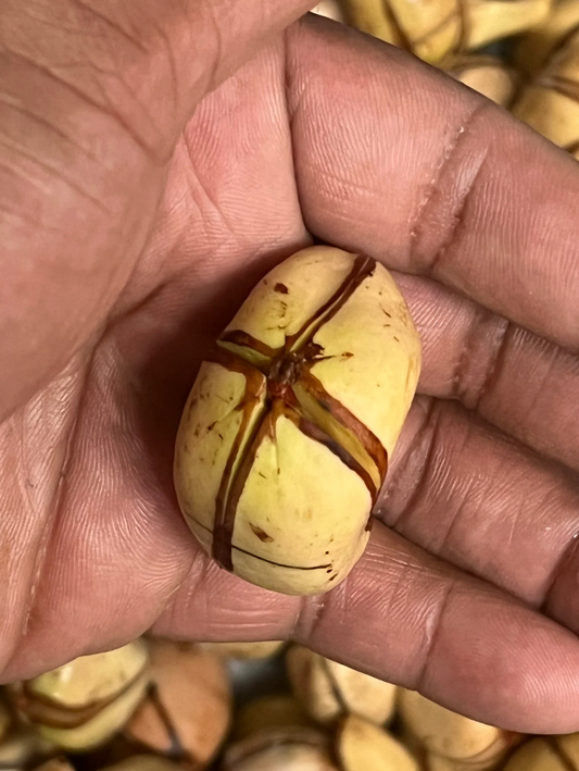 Nuts & Seeds | Obi | Obi Kola | White Kola Nut | Cola Acuminata