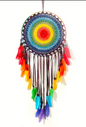 Dreamcatcher | Multicolor Goose Feathers