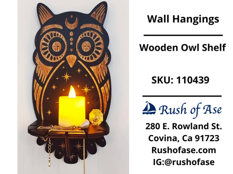 Wall Hanging | Wooden Owl Shelf