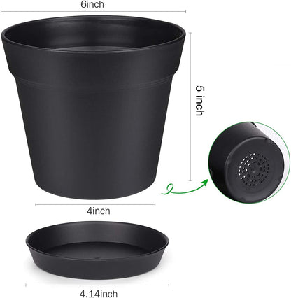 Plant Pots | 6" Plastic Pot with Drainage and Tray