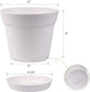 Plant Pots | 6" Plastic Pot with Drainage and Tray