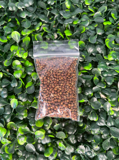 Nuts & Seeds | Ataare| Guinea Pepper | Alligator Pepper | Grains of Paradise [FREE SHIPPING USA]