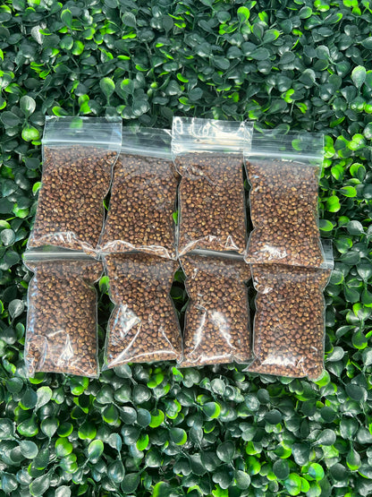 Nuts & Seeds | Ataare| Guinea Pepper | Alligator Pepper | Grains of Paradise [FREE SHIPPING USA]