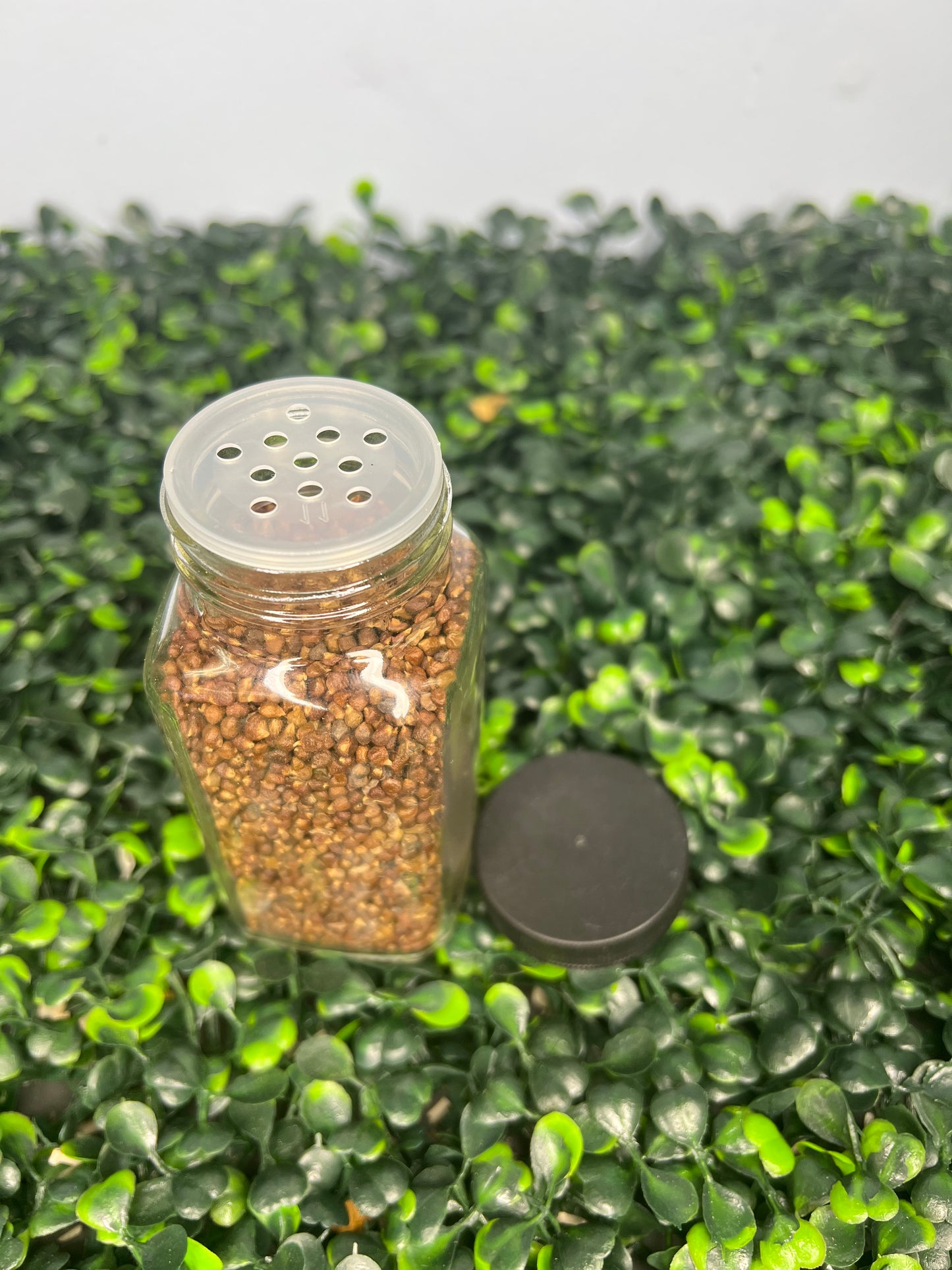 Nuts & Seeds | Ataare| Guinea Pepper | Alligator Pepper | Grains of Paradise [FREE SHIPPING USA]