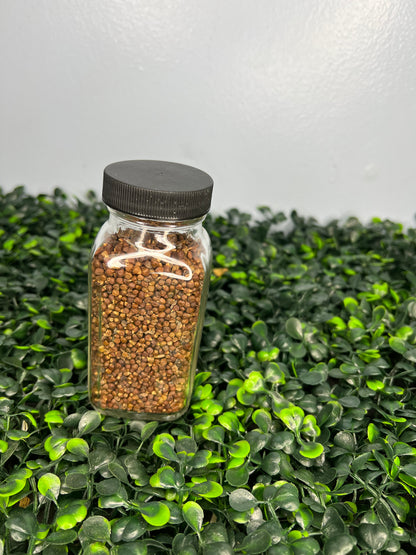 Nuts & Seeds | Ataare| Guinea Pepper | Alligator Pepper | Grains of Paradise [FREE SHIPPING USA]
