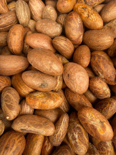 Nuts & Seeds | Bitter Kola | Orogbo | Gooro | Garcinia Kola [ FREE SHIPPING USA]