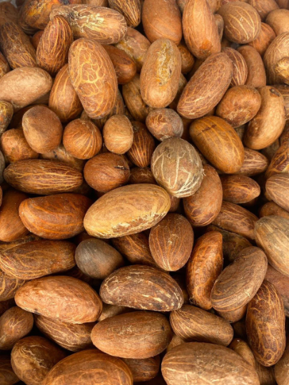 Nuts & Seeds | Bitter Kola | Orogbo | Gooro | Garcinia Kola [ FREE SHIPPING USA]