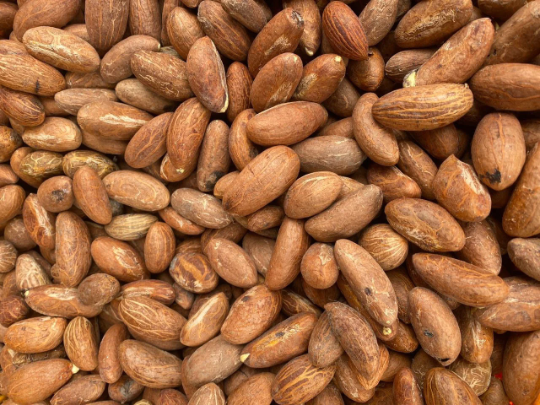 Nuts & Seeds | Bitter Kola | Orogbo | Gooro | Garcinia Kola [ FREE SHIPPING USA]