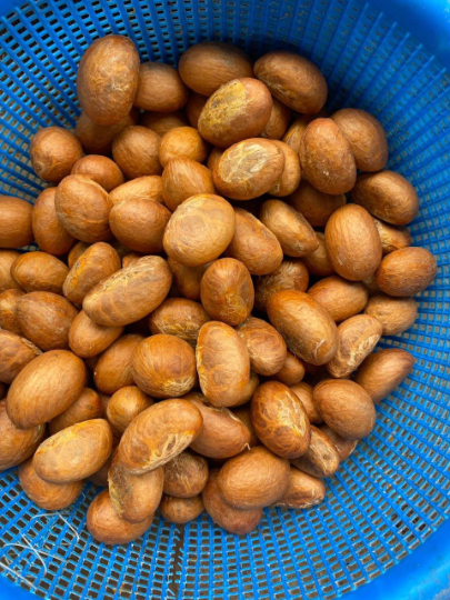 Nuts & Seeds | Bitter Kola | Orogbo | Gooro | Garcinia Kola [ FREE SHIPPING USA]