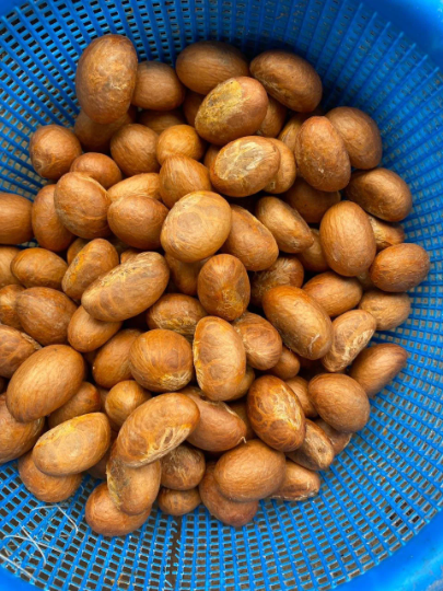 Nuts & Seeds | Bitter Kola | Orogbo | Gooro | Garcinia Kola