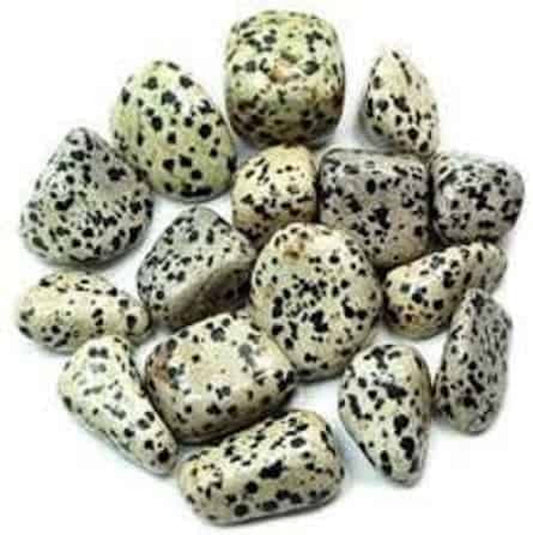 Stones | Jasper | Dalmatian Jasper | Polished Stones