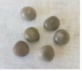 Nuts & Seeds | Mate Seed – Gray | Quita Maldicion | Curse Remover | Caesalpinia bonduc seed