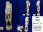 Statues | Wooden Statues | Ogun Wooden Statues - Style 7-4 [FREE SHIPPING USA]