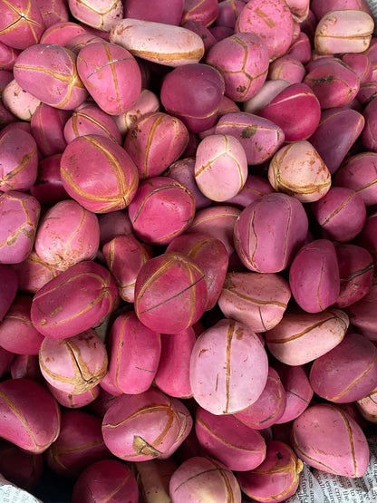 Nuts & Seeds | Obi | Obi Kola | Pink Kola Nut | Cola nitida