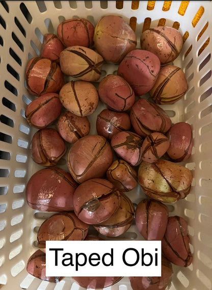 Nuts & Seeds | Obi | Obi Kola | Pink Kola Nut | Cola nitida